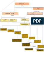 Concept Map Renal Failure