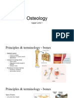 Upper Limb Osteology