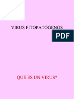 Virus Fitopatogenos Fitopatologia