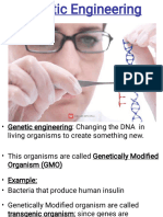 Topic 14 - Genetic Technology