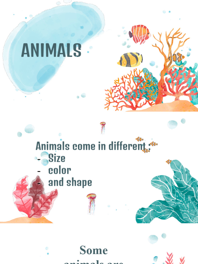 Animals Pdf