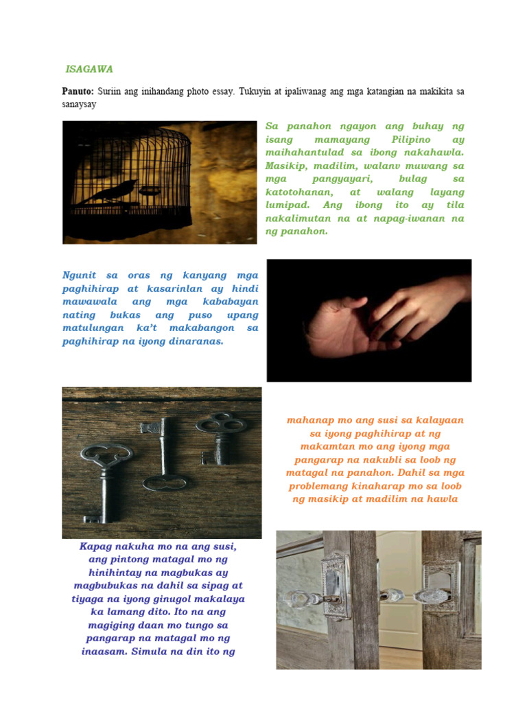 Ayolning eshakda qanday sikilgani fotosurati