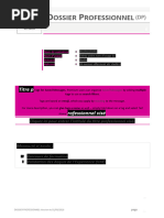 Exemple de Dossier Professionnel Vierge | PDF