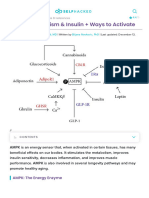 AMPK - Metabolism & Insulin + Ways To Activate - SelfHacked