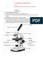 Práctica Manejo Microscopio