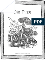 Pilze - Übungen Mit Lösungen (Biologie)