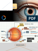 Anatomi Fisiologi Mata by Fani