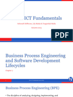 Business Process Engineering and Software Development Lifecycles