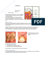 HC D Pathologie Van Het Cariësproces