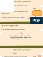 Cellular Respiration and Fermentation PPT