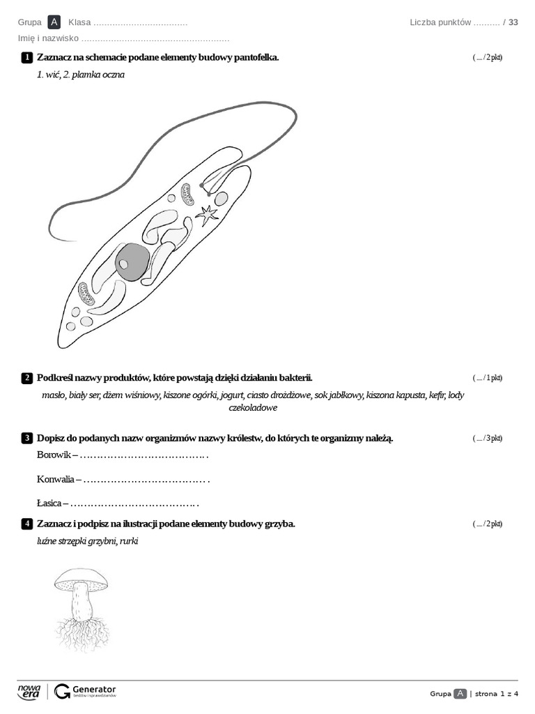 Wirusy Bakterie Protisty Grzyby Sprawdzian Nowa Era Bakterie Wirusy Grzyby I Protisty | PDF