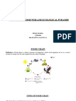 Food Chain, Food Web and Ecological Pyramid Presentation