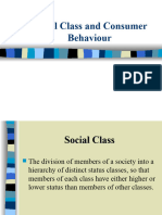 Social Class and Consumer Behaviour