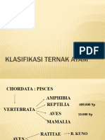 Klasifikasi Ternak Ayam Untuk Pembibitan