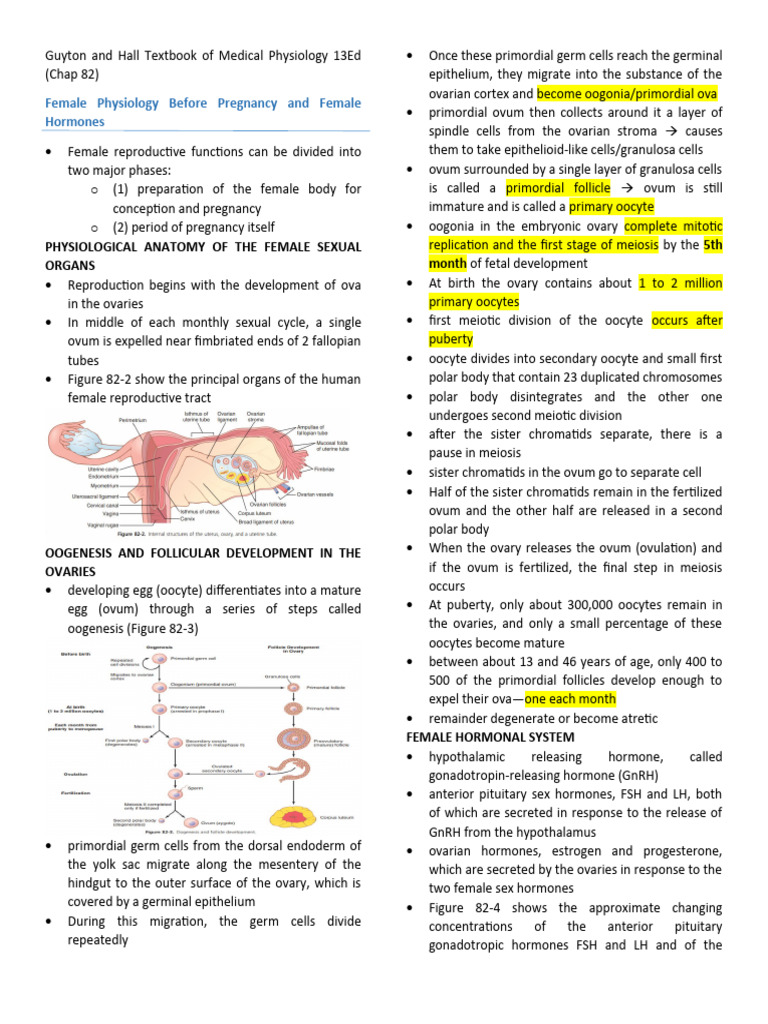 Female Physiology | PDF | Menstrual Cycle | Luteinizing Hormone