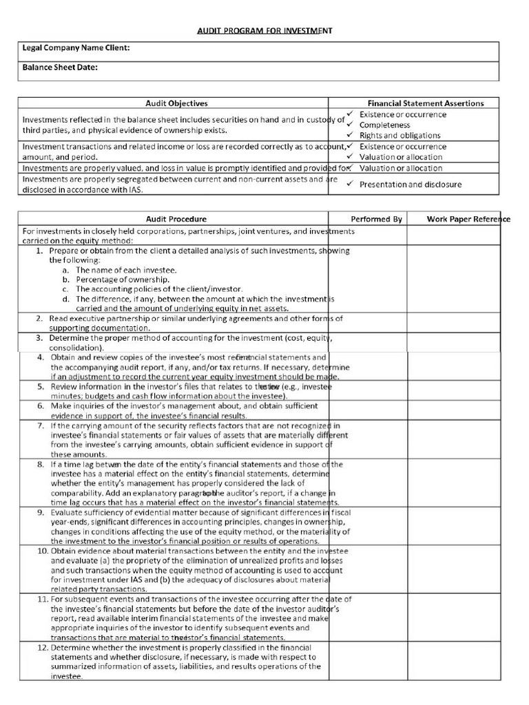 Audit Program Investments | PDF