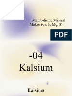 Metabolisme Mineral Makro (Ca, P, MG, S)