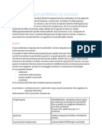 Documento (1) (5210)