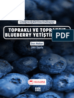 Topraklı Ve Topraksız Blueberry Yetiştiriciliği Ders Notları