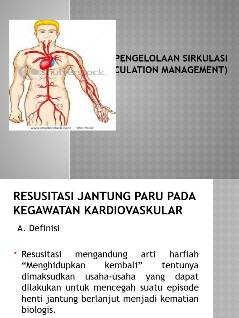 Pengelolaann Sirkulasi Circulation Management Pdf