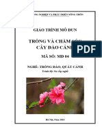 Tailieuxanh Giao Trinh MD 04 Trong Va Cham Soc Dao Canh 7699