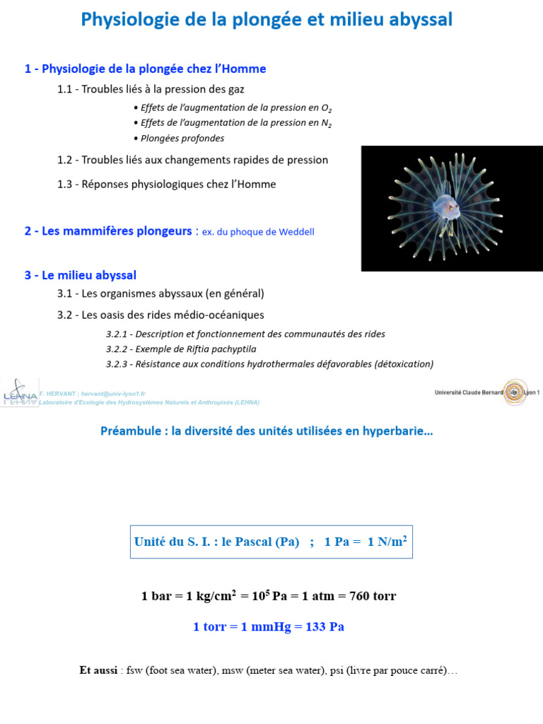 physiologie-de-la-plong-e-et-milieu-abyssal-pdf-plong-e-en