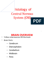 CNS Histology