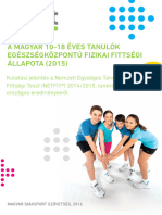 NETFIT Kutatasi Jelentes 2015