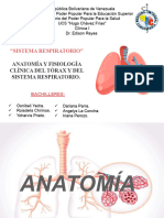 Sistema Respiratorio I