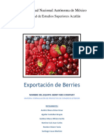 Exportación de Berries PDF