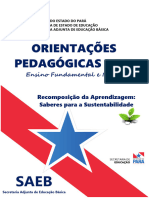 1 ORIENTACOES PEDAGOGICAS 2024-d8f87