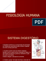 Fisiologia Humana-Slide