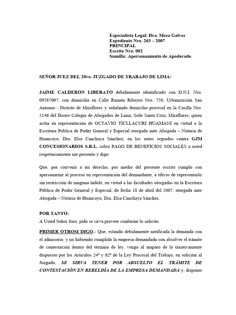 Apersonamiento en Proceso Laboral 2007 | PDF | Gobierno | Justicia