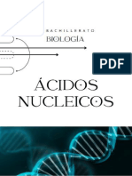 Apuntes Acidos Nucleicos