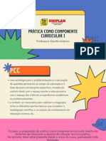 Prática Como Componente Curricular I: Professora: Kamilla Américo