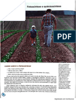 PDF fotossíntese e quimiossíntese