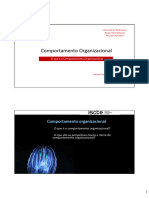 Comportamento Organizacional - O Que É