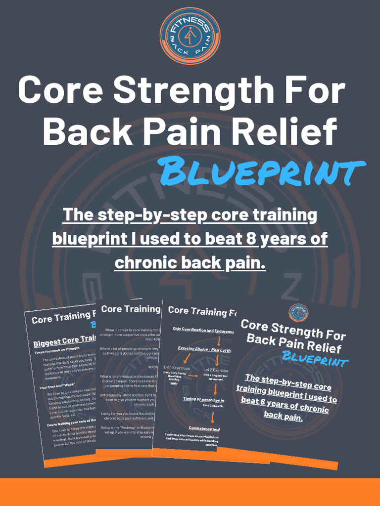 Core Training Blueprint for Back Pain | PDF | Abdomen | Anatomical ...