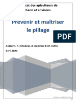 Le Pillage