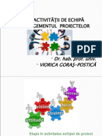 Act de Echipa - Proiect - Postica