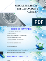 Radicales Libres, Inflamación y Cáncer