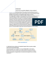 BioGeoTAREADOC 5