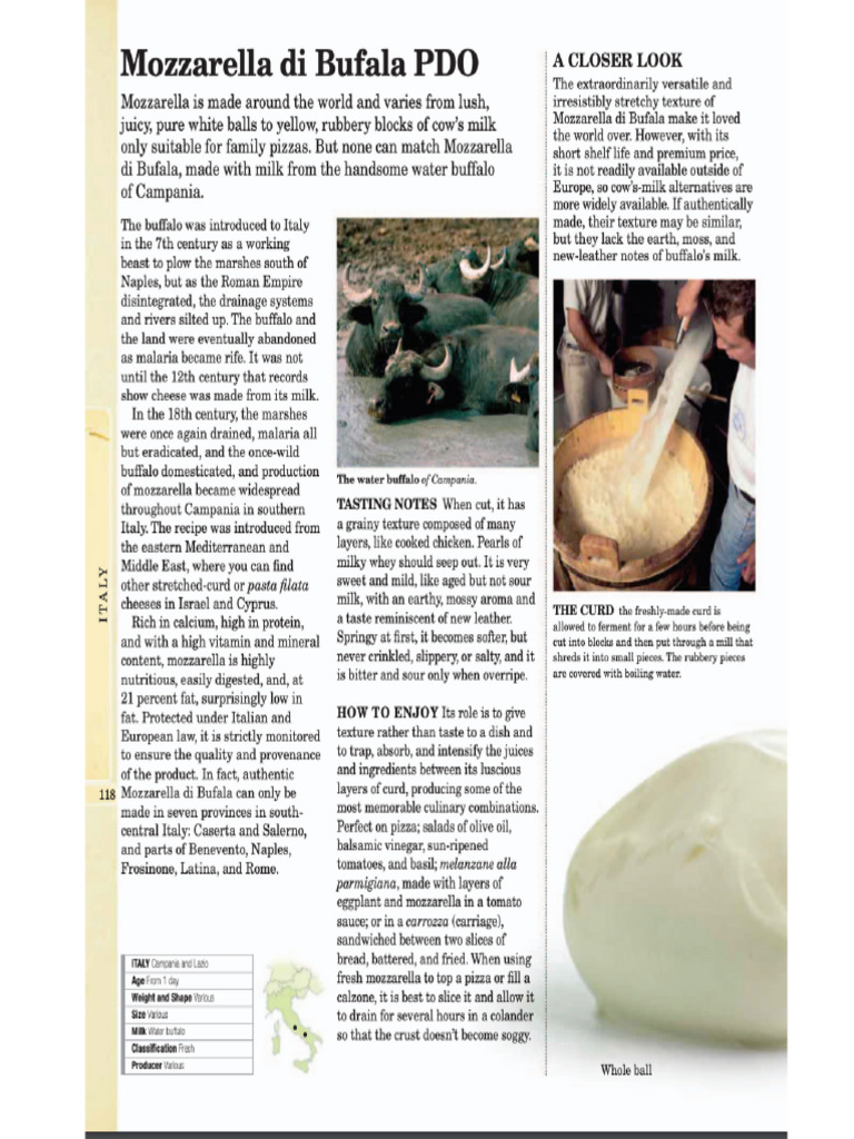 Mozzarella Di Bufala Pdo Pdf