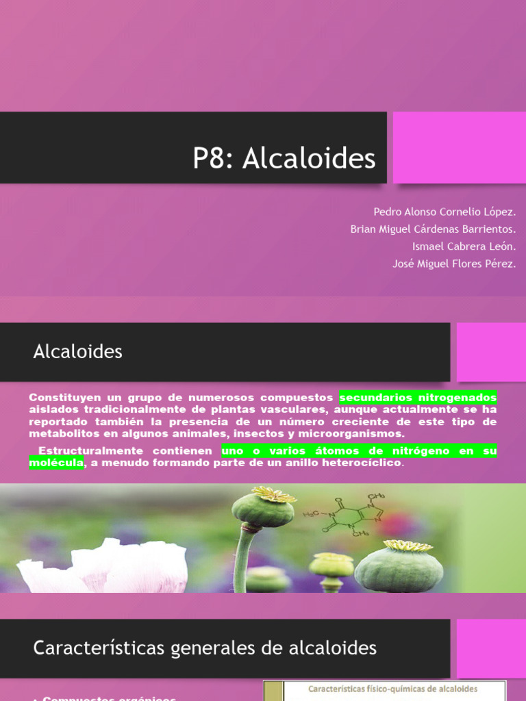 Alcaloide Toxique En 7 Lettresnull