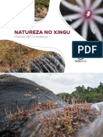 Natureza No Xingu - Plantas de Correderias - 2021 Norte Energia