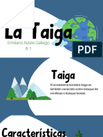 Taiga