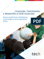 Magisterio en Educación Infantil I El Sistema Muscular. Crecimiento y Desarrollo A Nivel Muscular
