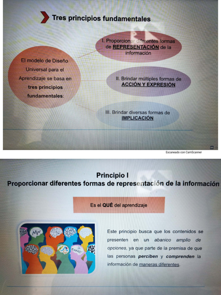 Principios y Pautas Del Dua | PDF