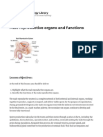 Male Reproductive Organs and Functions - The Online Physiology Library