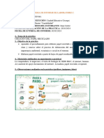 Esquema de Informe de Laboratorio 22